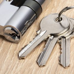 Key cylinder with keys